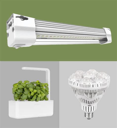 The Best Grow Lights for Indoor Plants | The Family Handyman