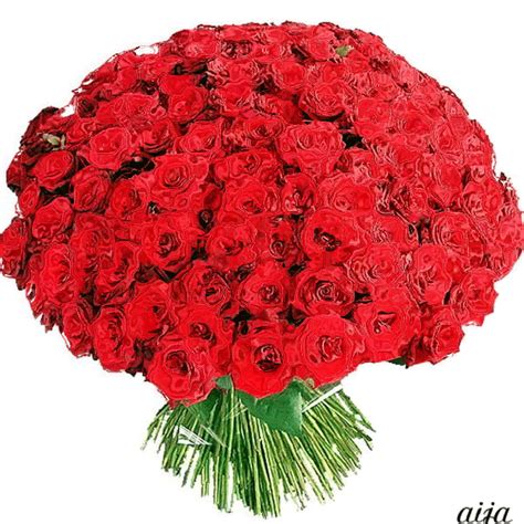 123friendster.com | Flores, Rosa roja, Rosas hermosas