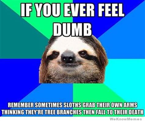 Best Sloth Memes: A good reminder. | Dumb and dumber, Sloth meme, How are you feeling