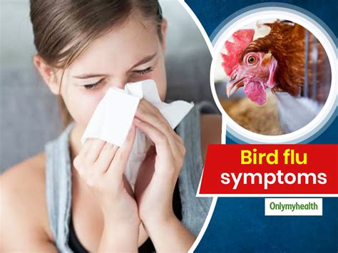 Bird Flu Symptoms: Know The 9 Symptoms of Bird Flu For Timely Diagnosis ...