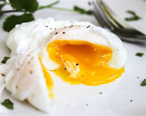 Poached egg – From Paddock To Plate