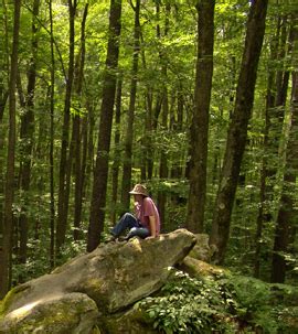 Immerse Yourself in a Forest for Better Health (2023)