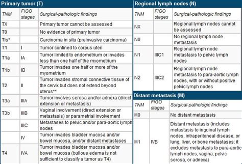 Figo Grade Endometrial Cancer