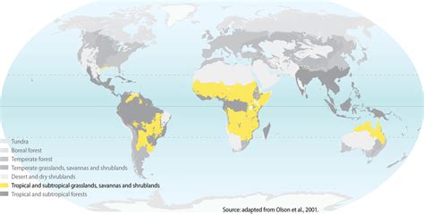 Meteorologist / Geographer - South Africa - Savanna