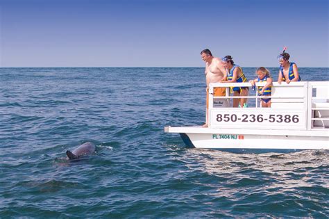 Tour Review: Dolphin Tour, Chasing Dolphins in Florida - Travel 4 Wildlife