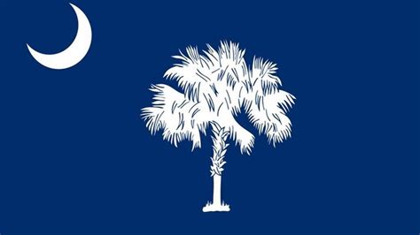 How the much-admired SC state flag came to be — a bit haphazardly | The ...