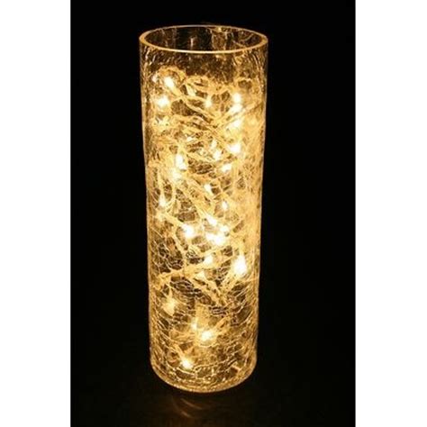 Pin by Bleached Butterfly Floral & Ho on home decor | Vase with lights, Fairy lights in a jar ...