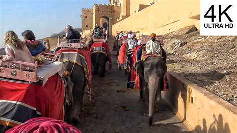 Amber Fort Elephant Ride - Jaipur - India 4K - YouTube