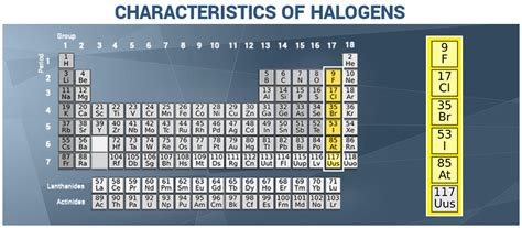 Halogens & their Oxidation State | Characteristics of Halogen Family