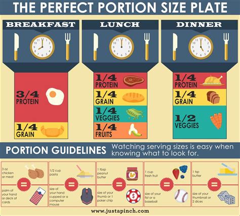 The Perfect Portion Size Plate | Perfect portions, Portion sizes ...