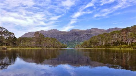 Big Gorse Bush: Canoe on Loch Maree