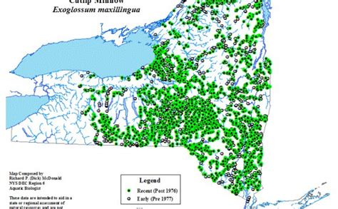 Lake Ontario tributaries - Laurentian Great Lakes