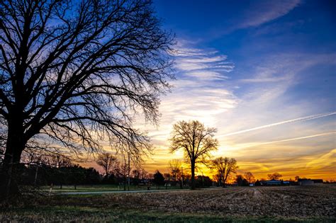 Trees at Sunrise - PentaxForums.com