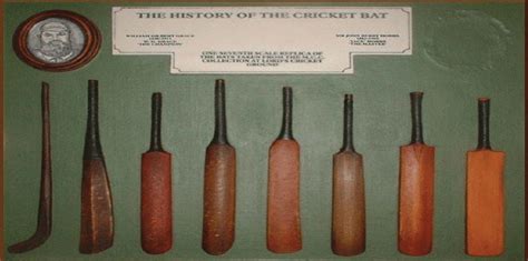 The evolution of bats used between 1720 and 1930 (Adapted from the... | Download Scientific Diagram