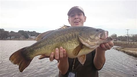 Delaware Angler Smashes State Record for Largemouth Bass | OutdoorHub