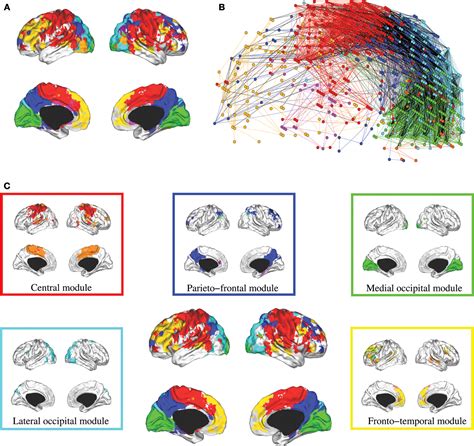 Frontiers | Hierarchical modularity in human brain functional networks