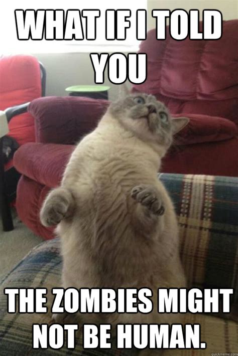 Zombie Cat memes | quickmeme