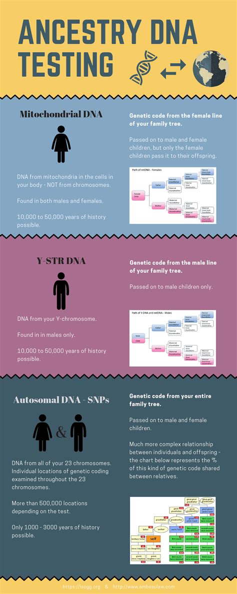 Ancestry DNA Information