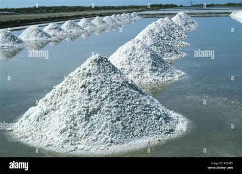 Piles of salt gathered up in a salt lagoon Samut Songkhram Thailand ...