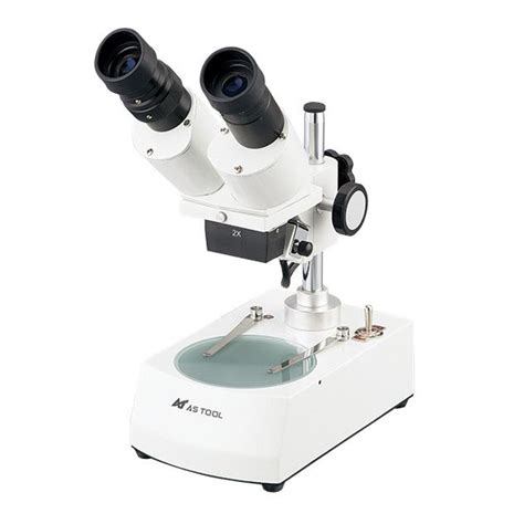 Stereo Microscope