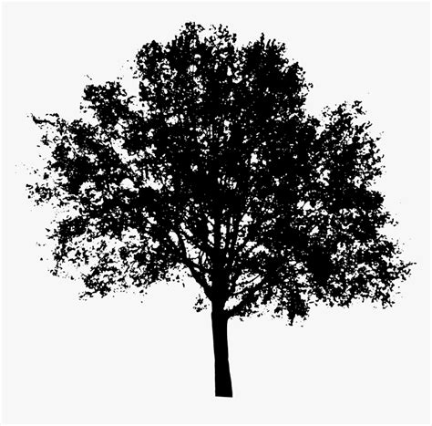 Tree Shadow Png - Silhouette Tree Vector Png, Transparent Png ...