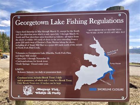 Georgetown Lake and Big Rainbows - Fly Fishing Waters