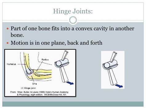 Example Of Hinge Joint