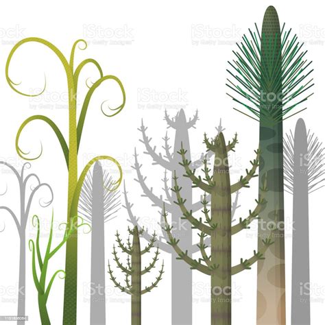 Prehistoric Plants Stock Illustration - Download Image Now - Tree, Backgrounds, Botany - iStock