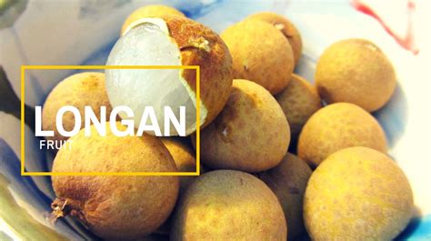 Top 10 Longan Benefits (Dragon Eye Fruit)