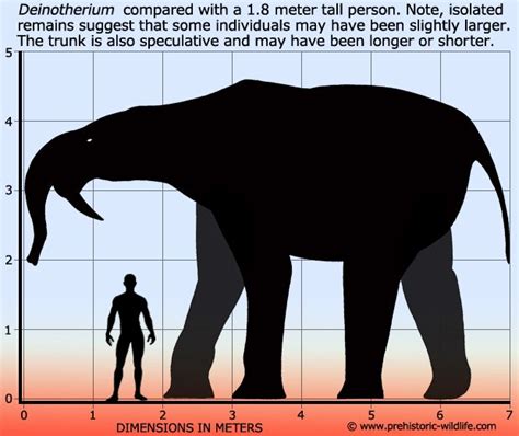 Deinotherium Extinct Animals, Rare Animals, Animals Images, Animals And ...