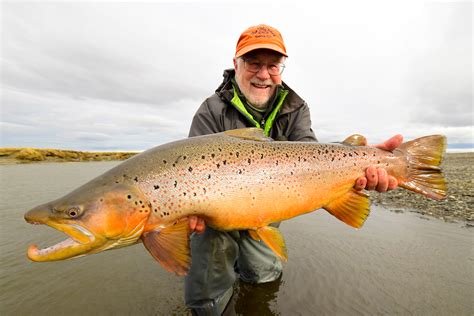 Sea Run Brown Trout - Tierra del Fuego