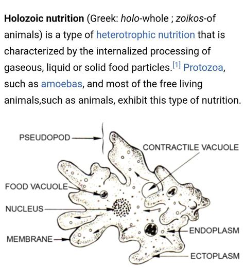 wat is holozoic nutrition any 2 examples - Brainly.in