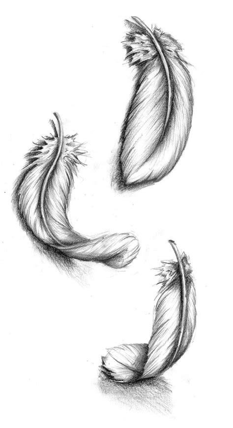 Love this one! | Comment dessiner des plumes, Tatouage plume, Croquis ...