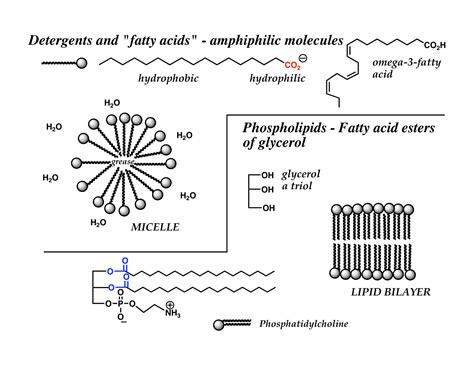 SOLUTION: Types of carbonyl compounds - Studypool