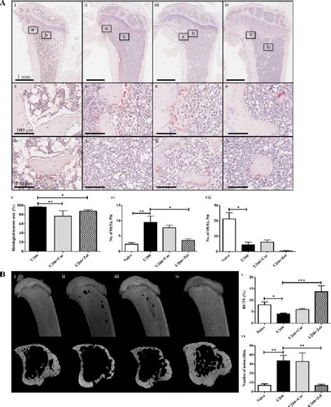 Figure 3 from NOD/SCID-GAMMA Mice Are an Ideal Strain to Assess the ...