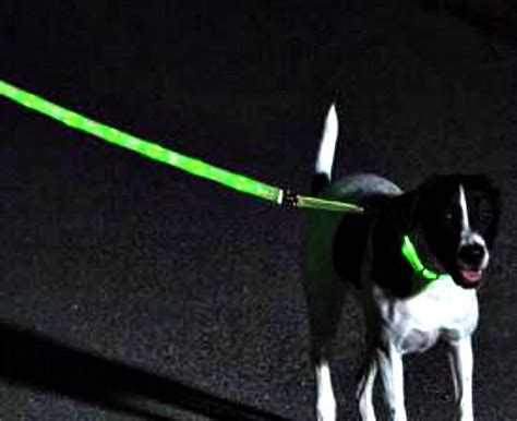 Leashes: Lighted, Reflective, Hands-Free | KeepDoggieSafe.com – Keep Doggie Safe