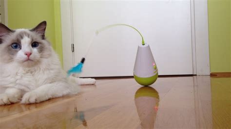 Fun with my new interactive cat toy :) - YouTube