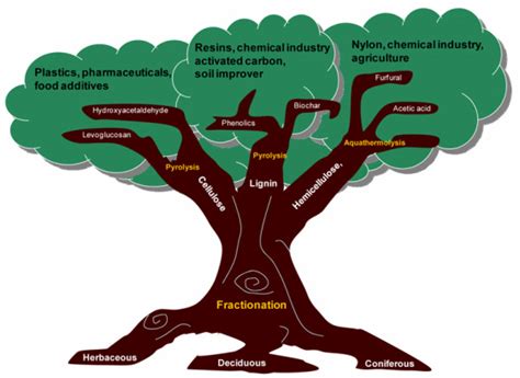 PRODUCTS FROM BIOREFINERY