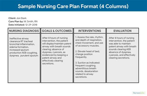 Nursing Care Plan (Ncp): Ultimate Guide And Database Throughout Nursing Care Plan Template Word ...