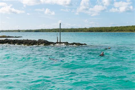 Eleuthera Snorkeling & Diving Adventures | Ocean Fox Bahamas