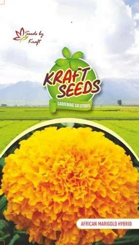 Natural African Marigold Orange Seeds, Packaging Type: Packet, Packaging Size: Home Garden ...