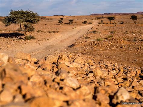 No.83 Bicycle touring Africa – Morocco Part II – The fascination of the desert | Pushbikegirl ...