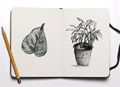 STILL LIFE / Drawing on Behance