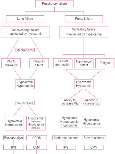 Pathophysiology of RespiratoryFailure - Saans Foundation