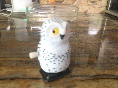 Einstein Toys, Beethoven, Olaf The Snowman, Wind, Owl, Baby, Owls, Baby Humor, Infant