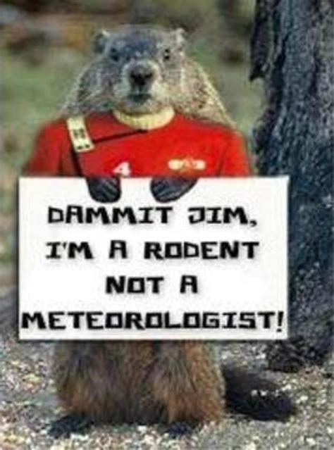 "Bones" On Groundhog Day | PlanetSave | Star trek funny, Groundhog day ...