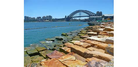 Barangaroo Reserve | 2019 ASLA Professional Awards