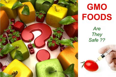 What are GMO foods and what are their pros and cons