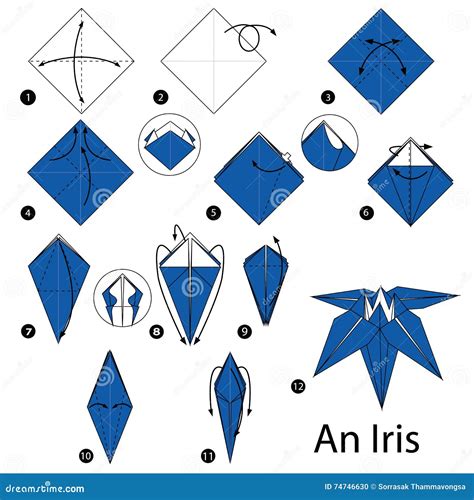 Step By Step Instructions How To Make Origami An Iris. Vector Illustration | CartoonDealer.com ...