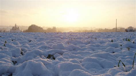 🔥 [50+] Snowy Fields Wallpapers | WallpaperSafari